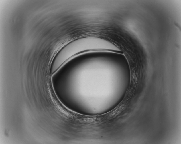 X0000102270049200808011437