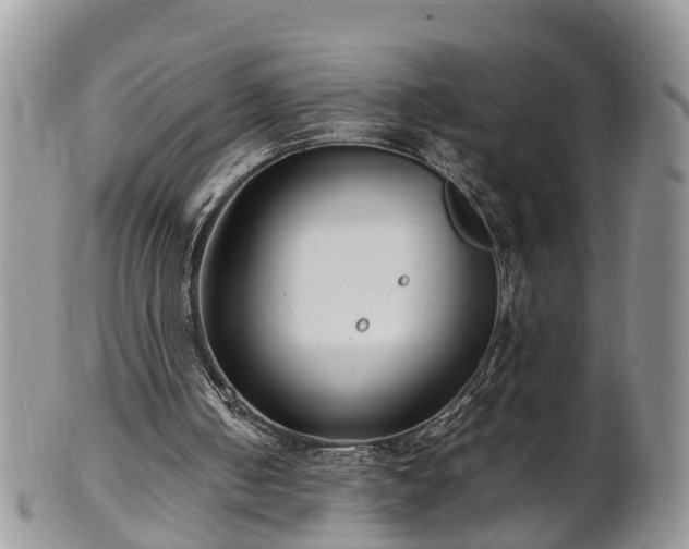 X0000102270050200808011437