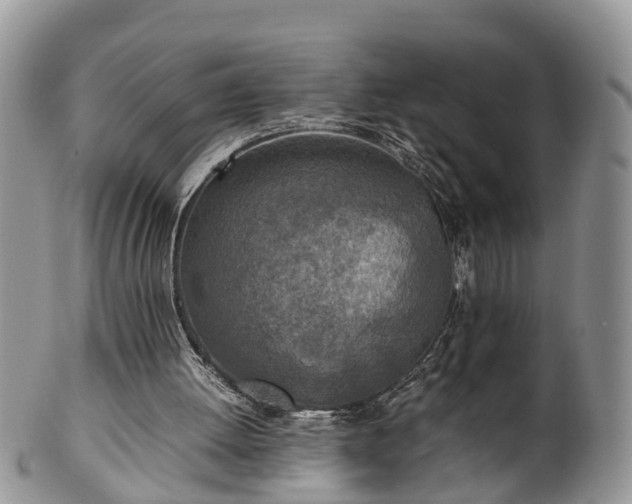 X0000102270052200808011437