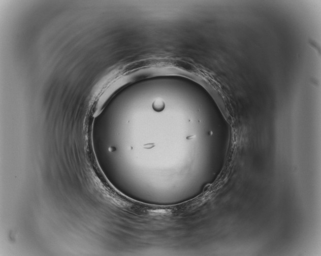 X0000102270053200808011437