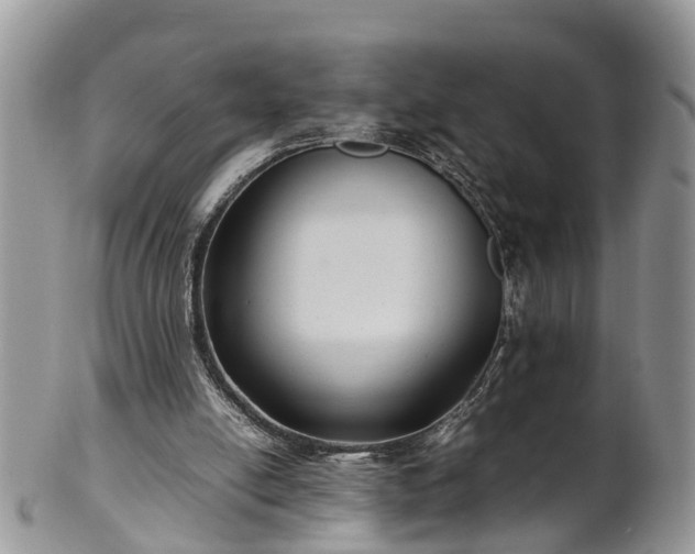 X0000102270054200808011437