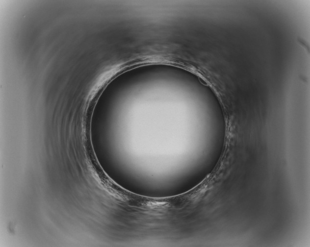X0000102270055200808011437