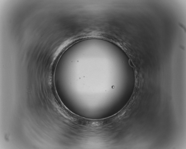 X0000102270056200808011437