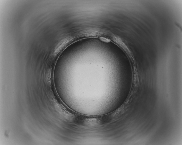 X0000102270058200808011437