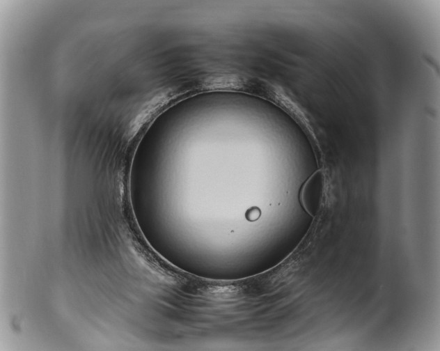 X0000102270059200808011437