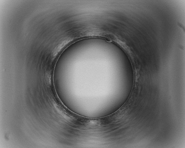X0000102270060200808011437