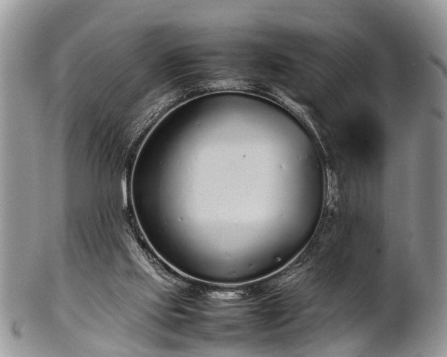 X0000102270061200808011437