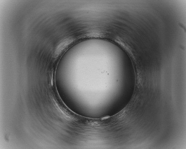 X0000102270062200808011437