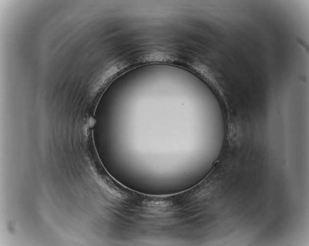 X0000102270063200808011437