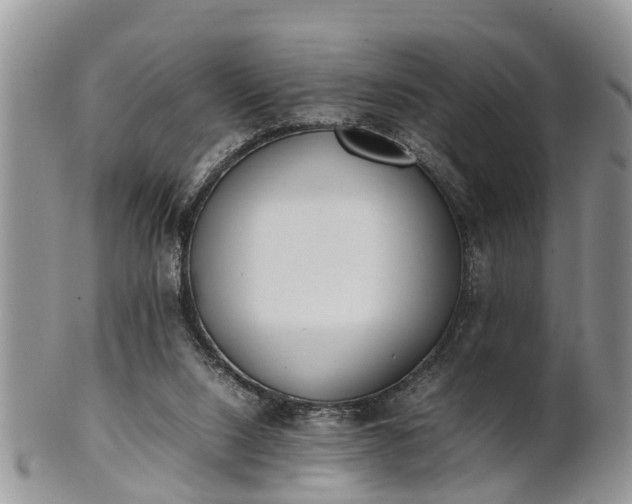 X0000102270064200808011437