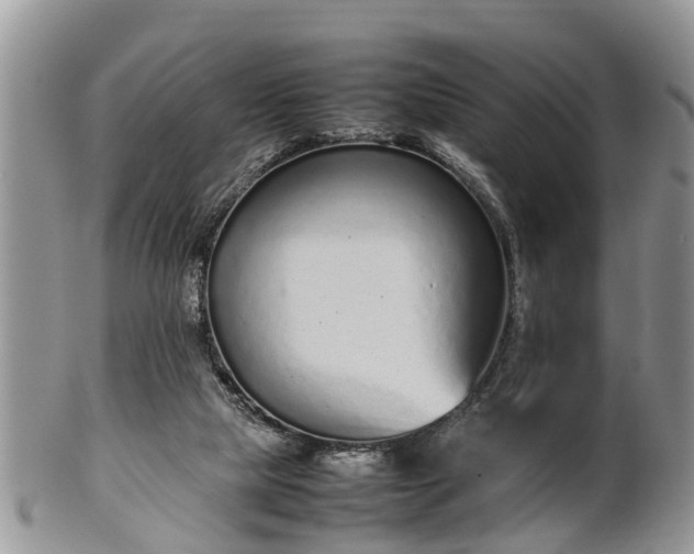 X0000102270065200808011437