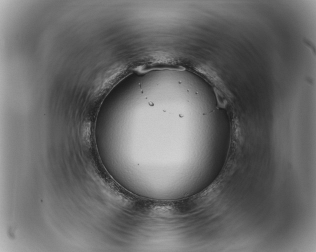 X0000102270066200808011437