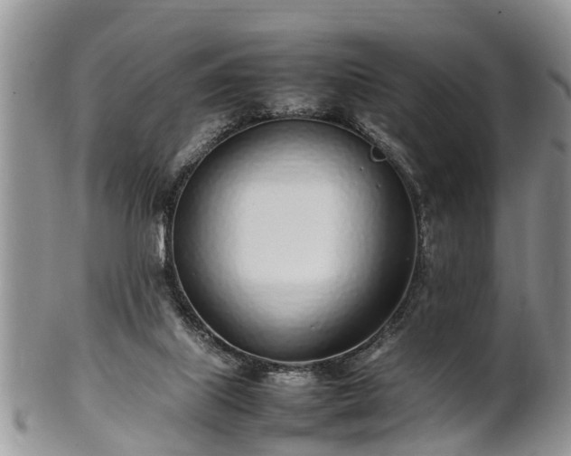 X0000102270067200808011437