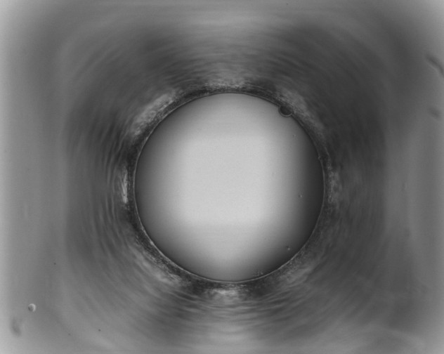 X0000102270068200808011437