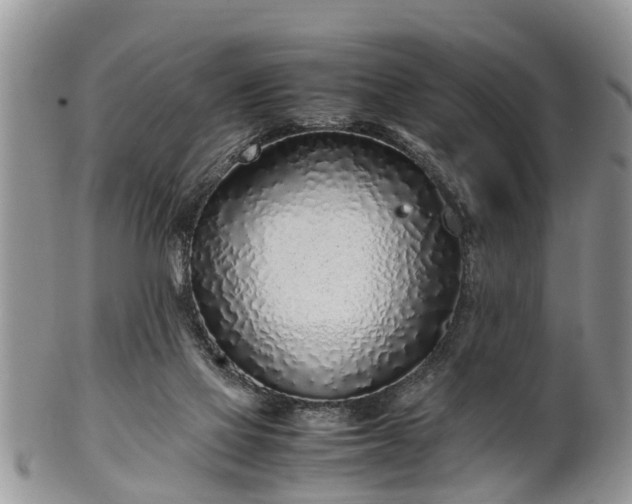 X0000102270069200808011437