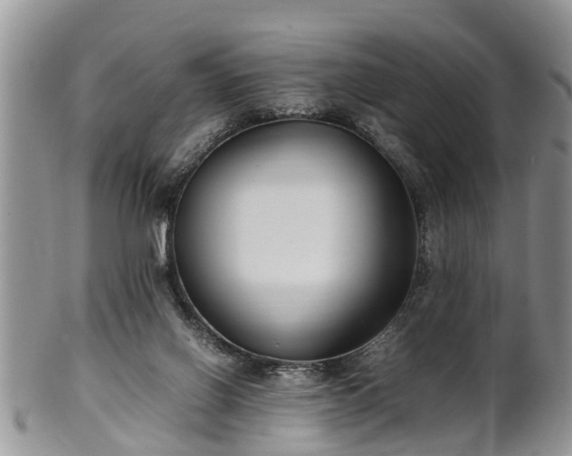 X0000102270070200808011437