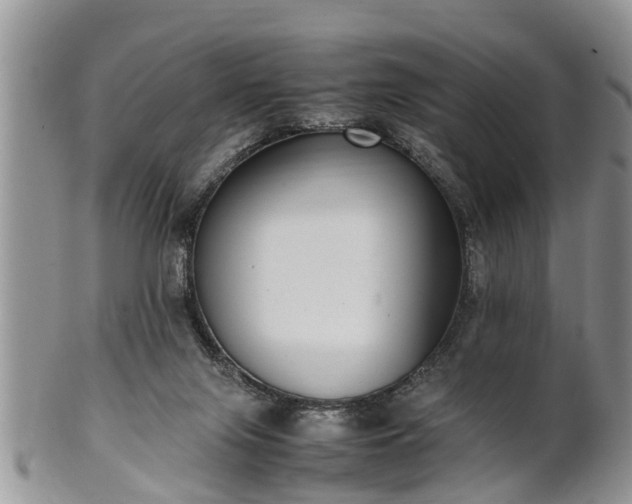 X0000102270071200808011437