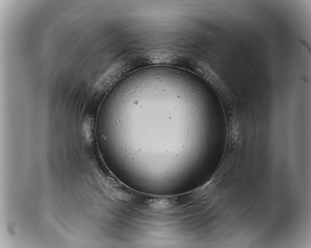 X0000102270074200808011437