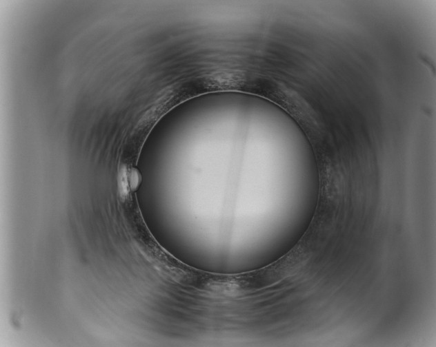X0000102270075200808011437