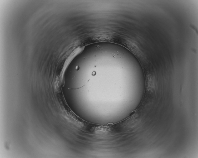 X0000102270077200808011437
