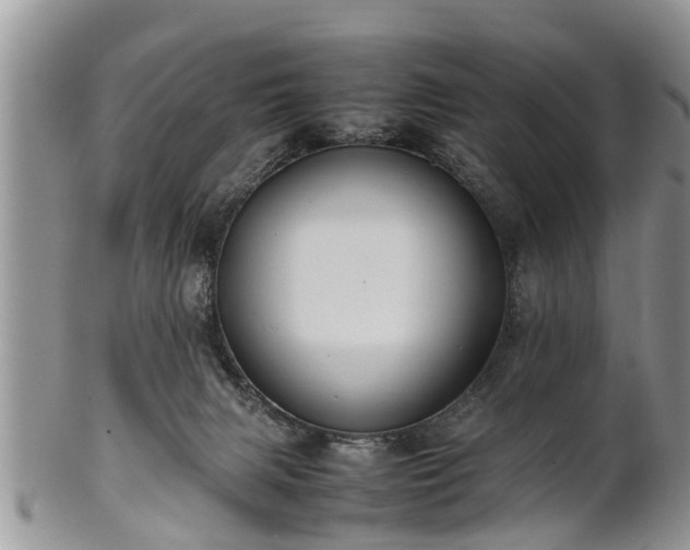 X0000102270079200808011437