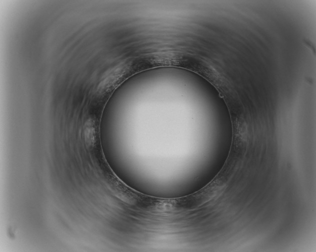 X0000102270080200808011437