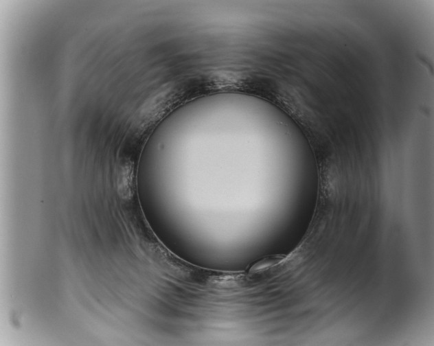 X0000102270082200808011437