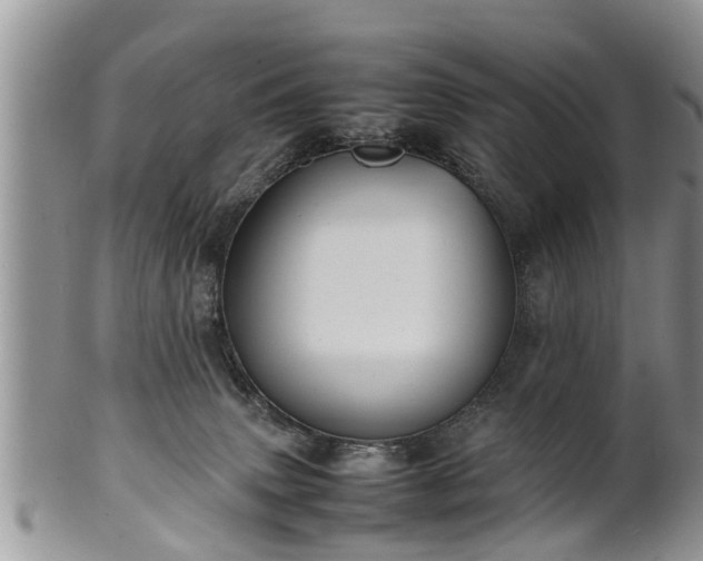 X0000102270083200808011437
