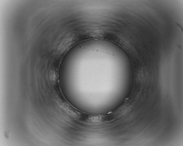X0000102270084200808011437