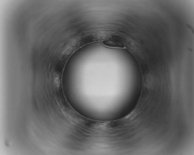 X0000102270086200808011437