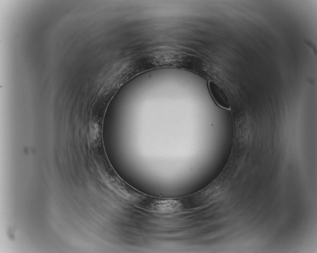 X0000102270087200808011437