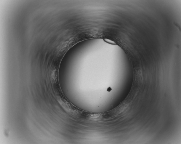 X0000102270088200808011437