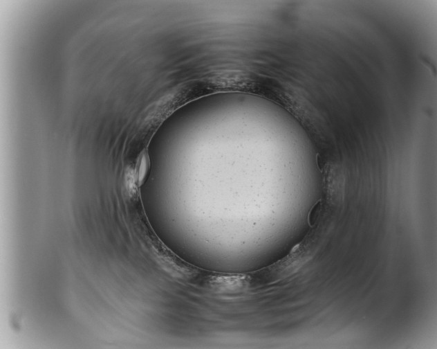 X0000102270089200808011437