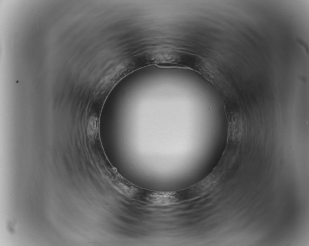 X0000102270093200808011437