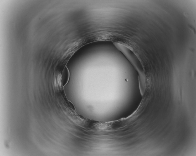 X0000102270094200808011437