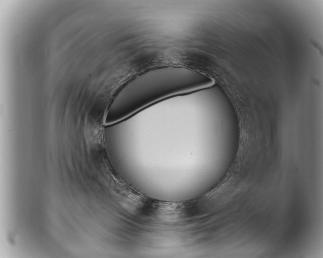 X0000102270096200808011437