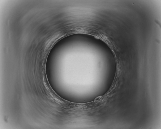 X0000102270097200808011437