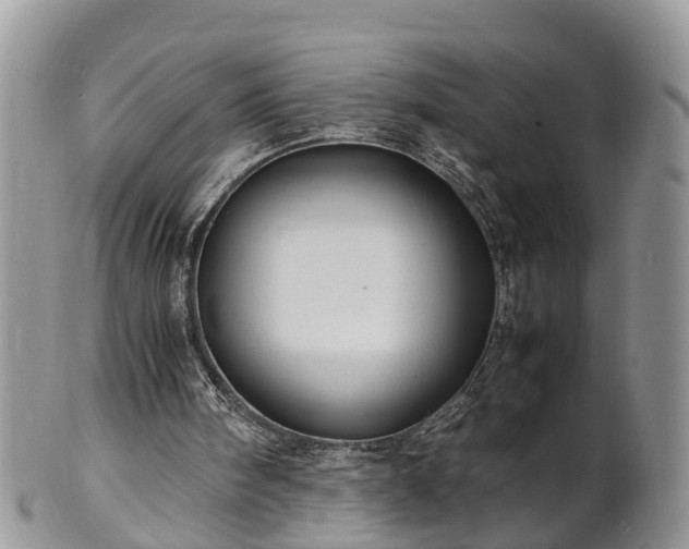 X0000102270098200808011437