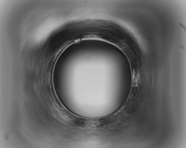 X0000102270099200808011437