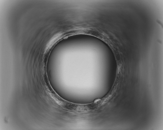X0000102270101200808011437