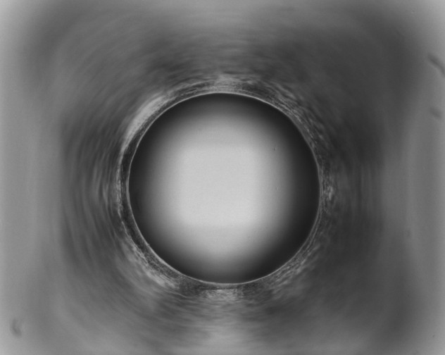 X0000102270102200808011437