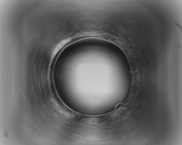X0000102270104200808011437