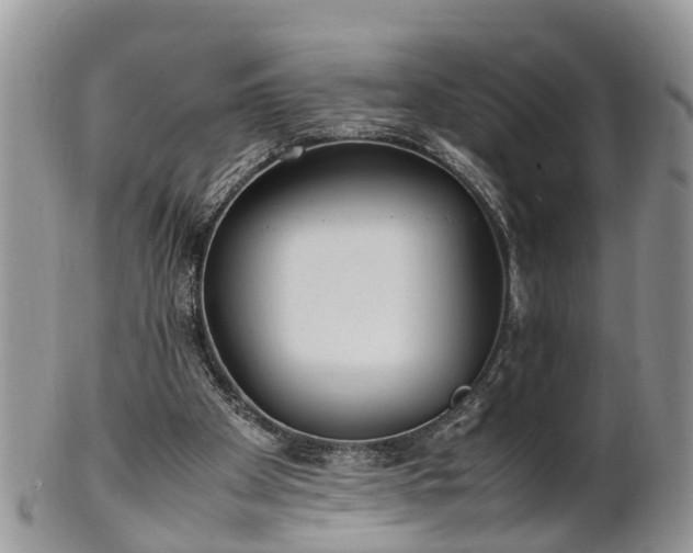 X0000102270105200808011436