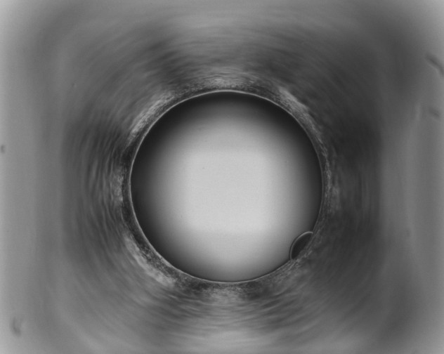 X0000102270106200808011436