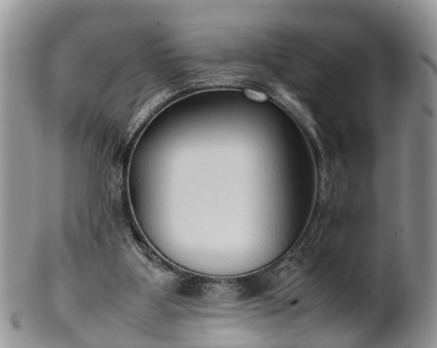 X0000102270107200808011436