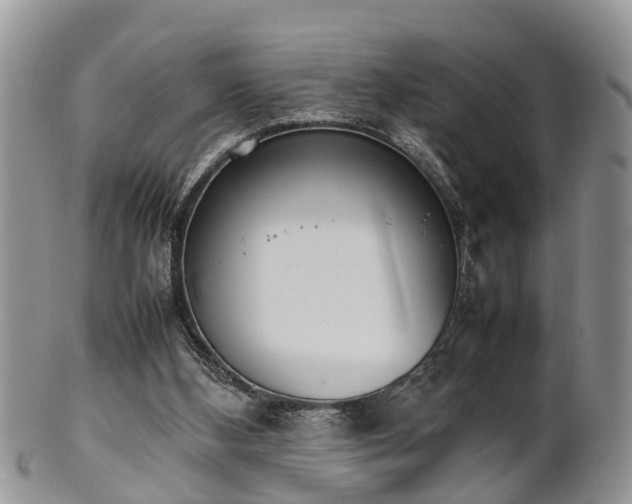 X0000102270108200808011436