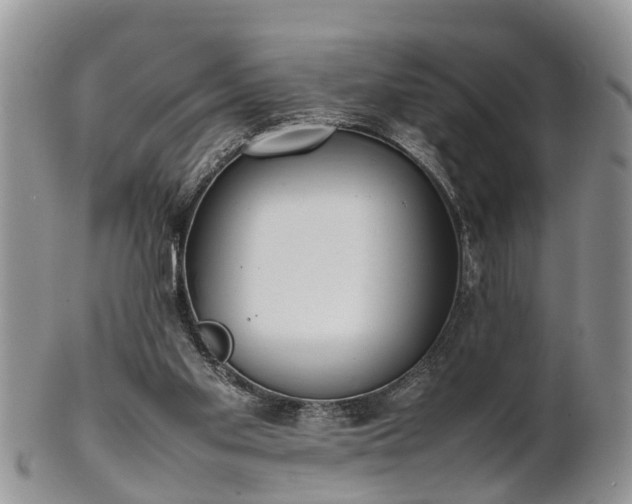X0000102270109200808011436