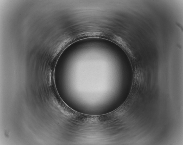 X0000102270110200808011436