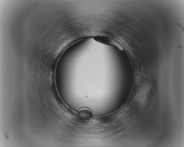 X0000102270111200808011436