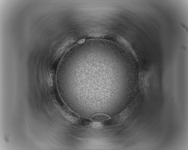 X0000102270114200808011436
